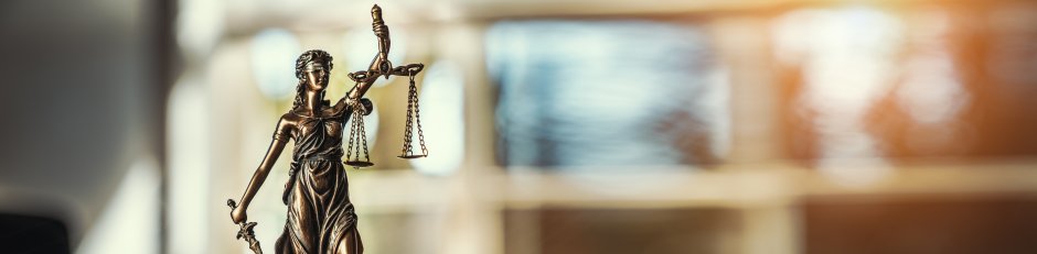 Fiscaal juridisch advies