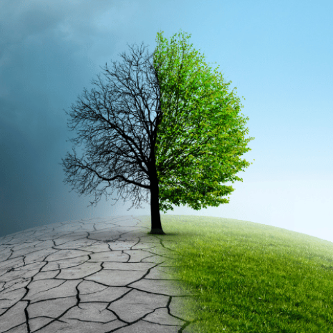 Climate change